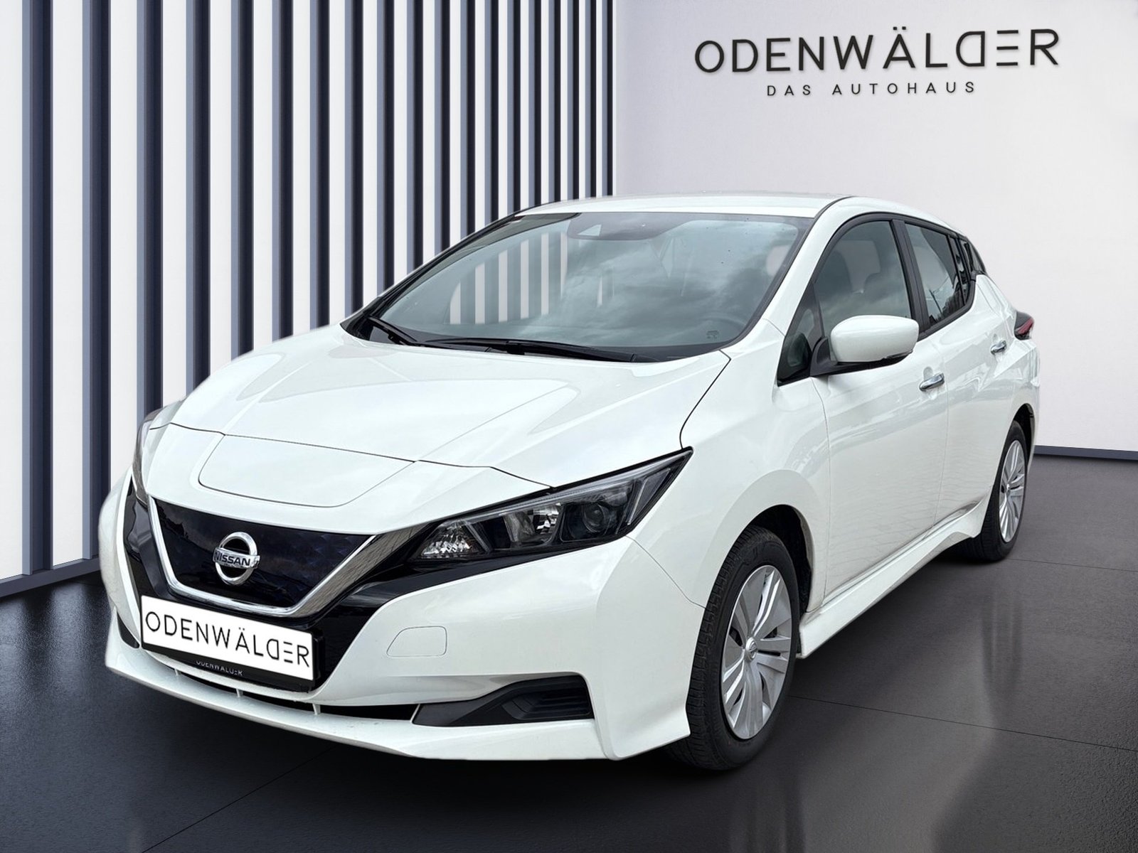 Nissan Leaf ZE1 Automatik Navi+LM